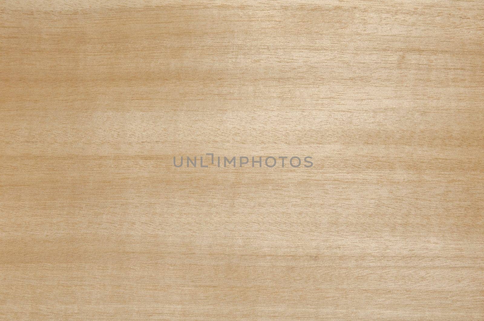 a wood rustic exclusive texture