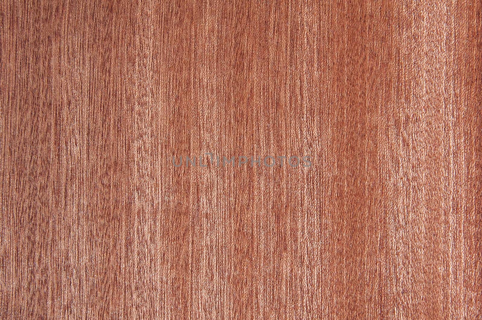 a wood rustic exclusive texture