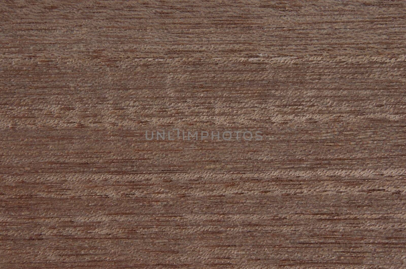 a wood rustic exclusive texture