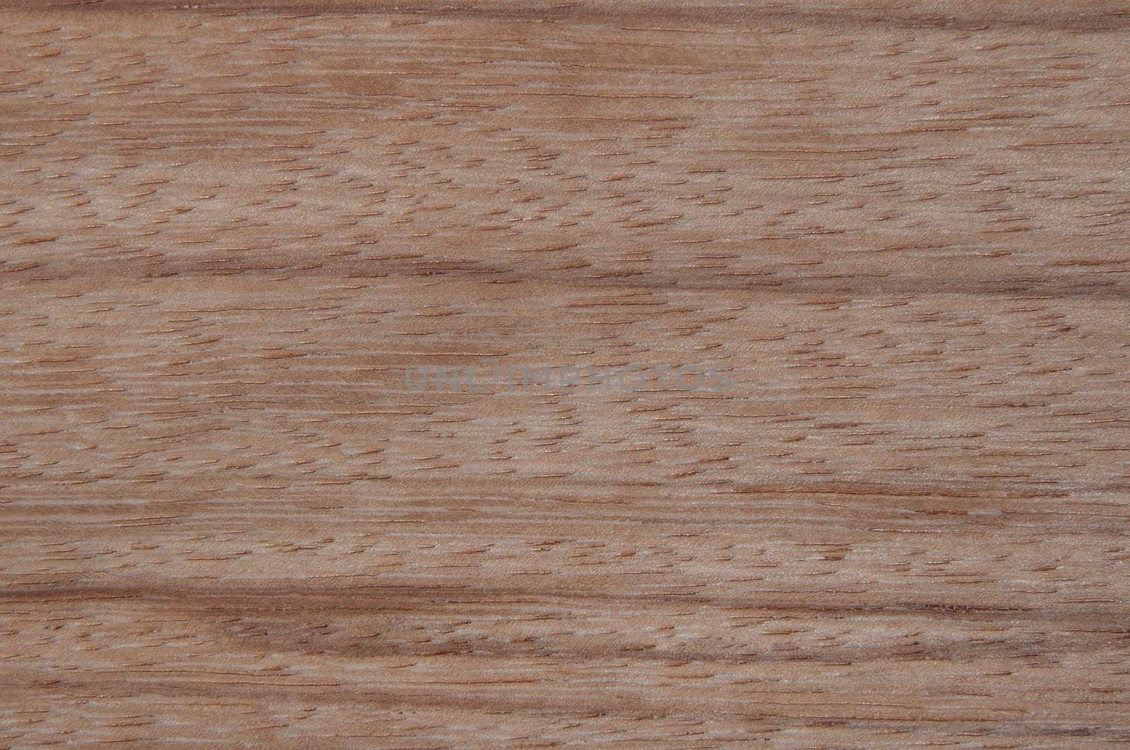 a wood rustic exclusive texture