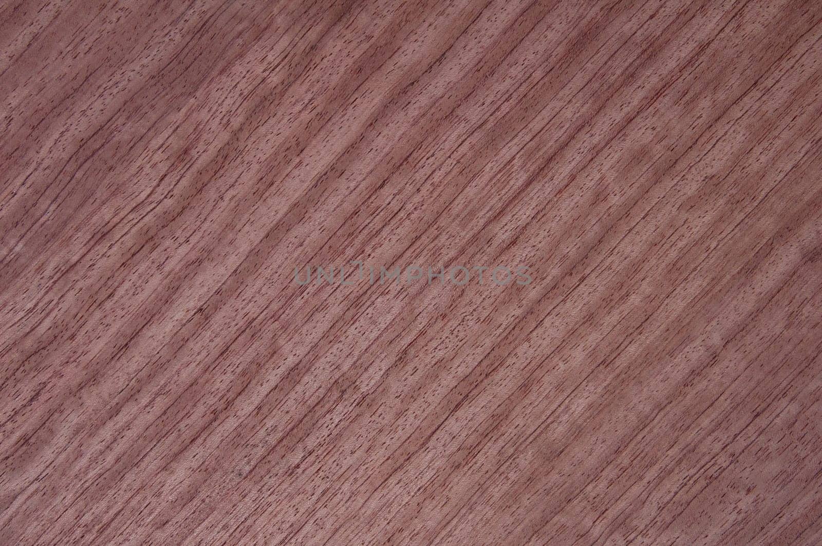 a wood rustic exclusive texture