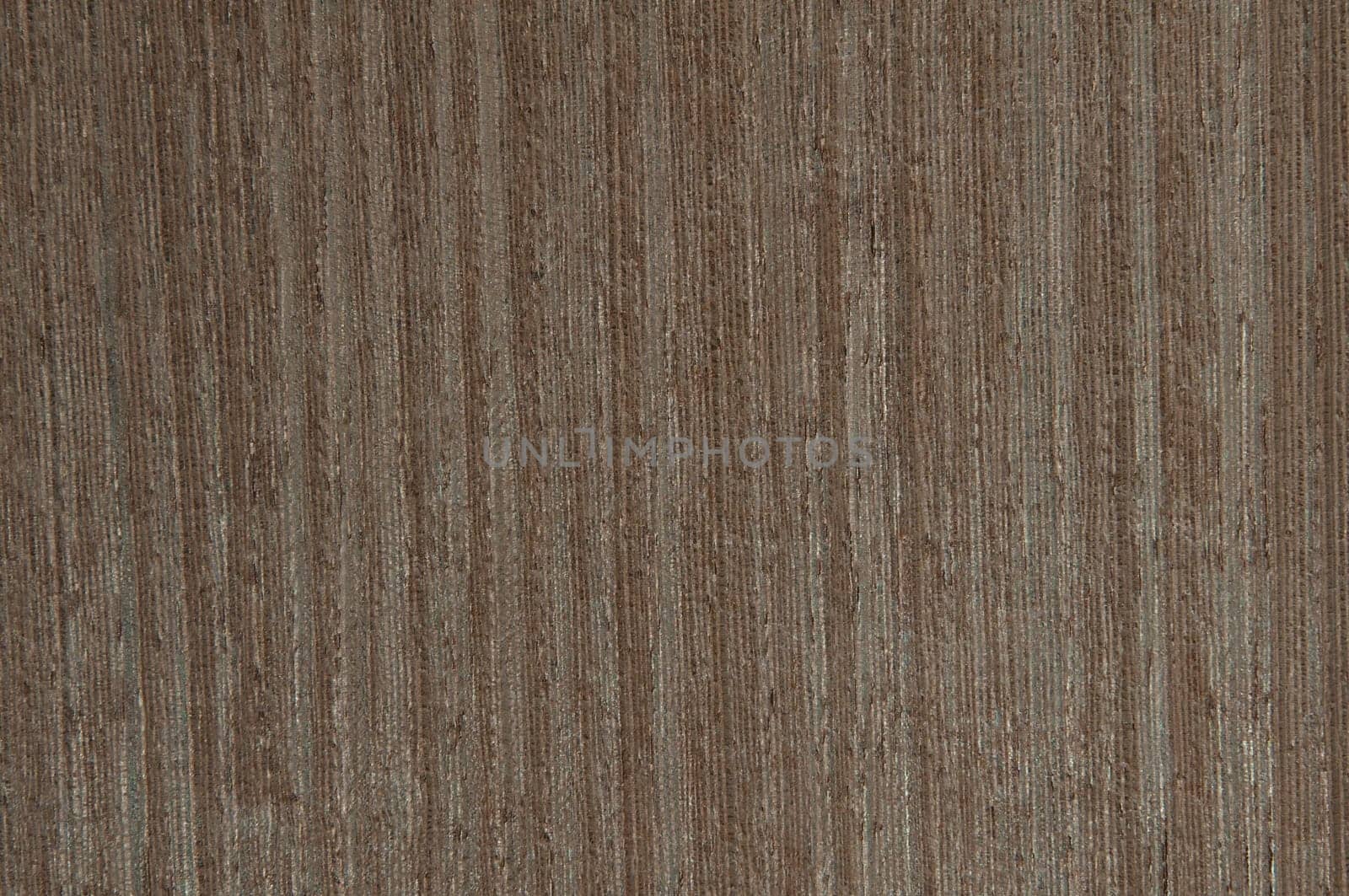 a wood rustic exclusive texture