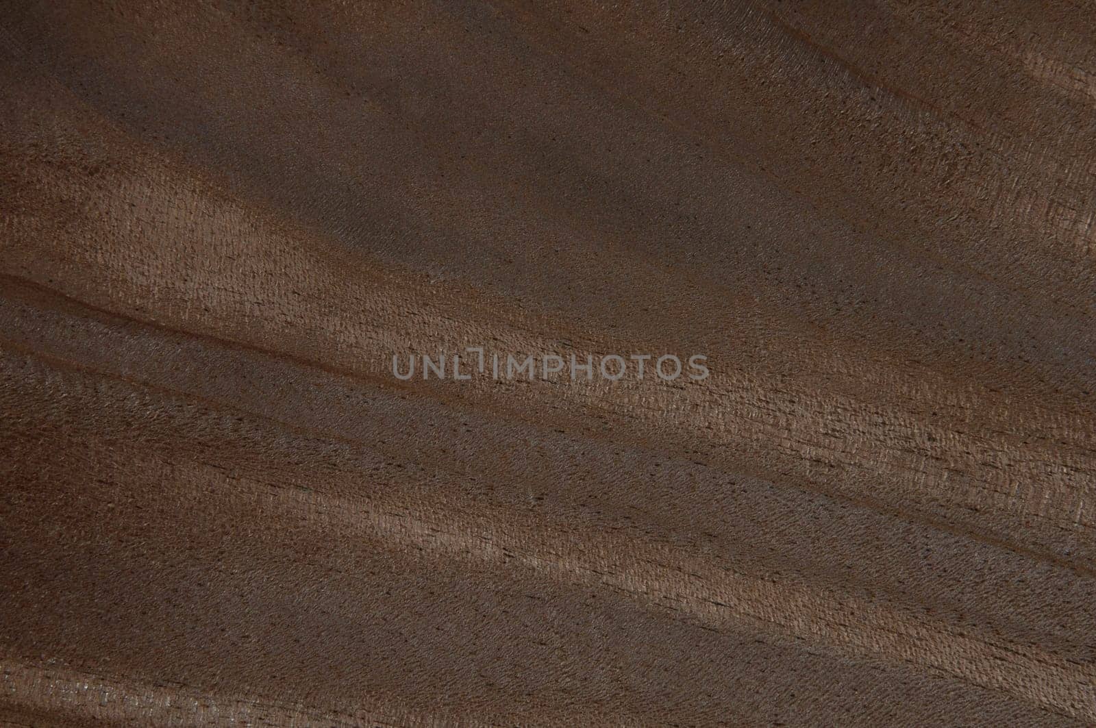 a wood rustic exclusive texture