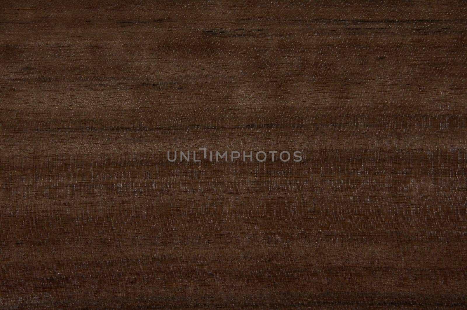 a wood rustic exclusive texture