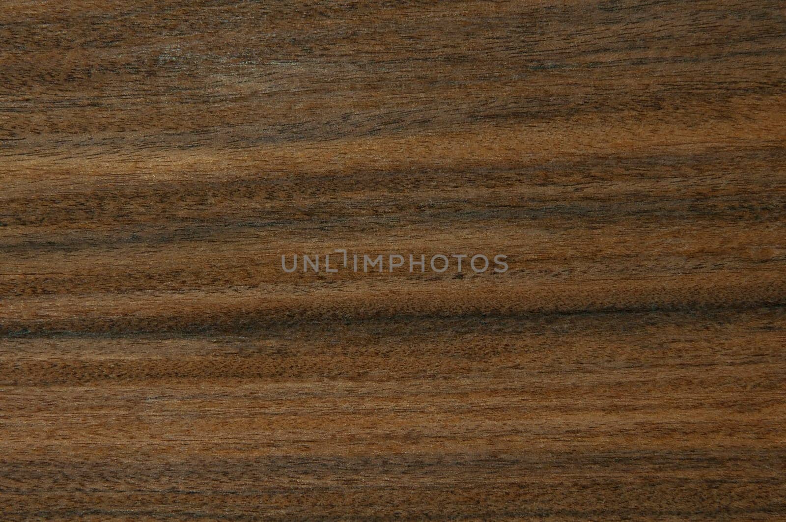 a wood rustic exclusive texture