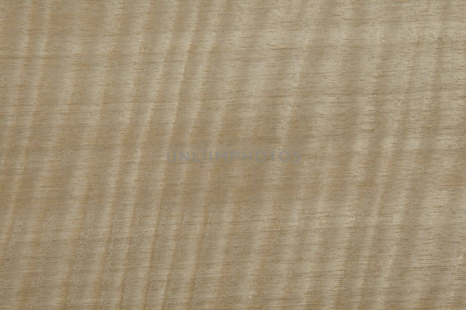 a wood rustic exclusive texture