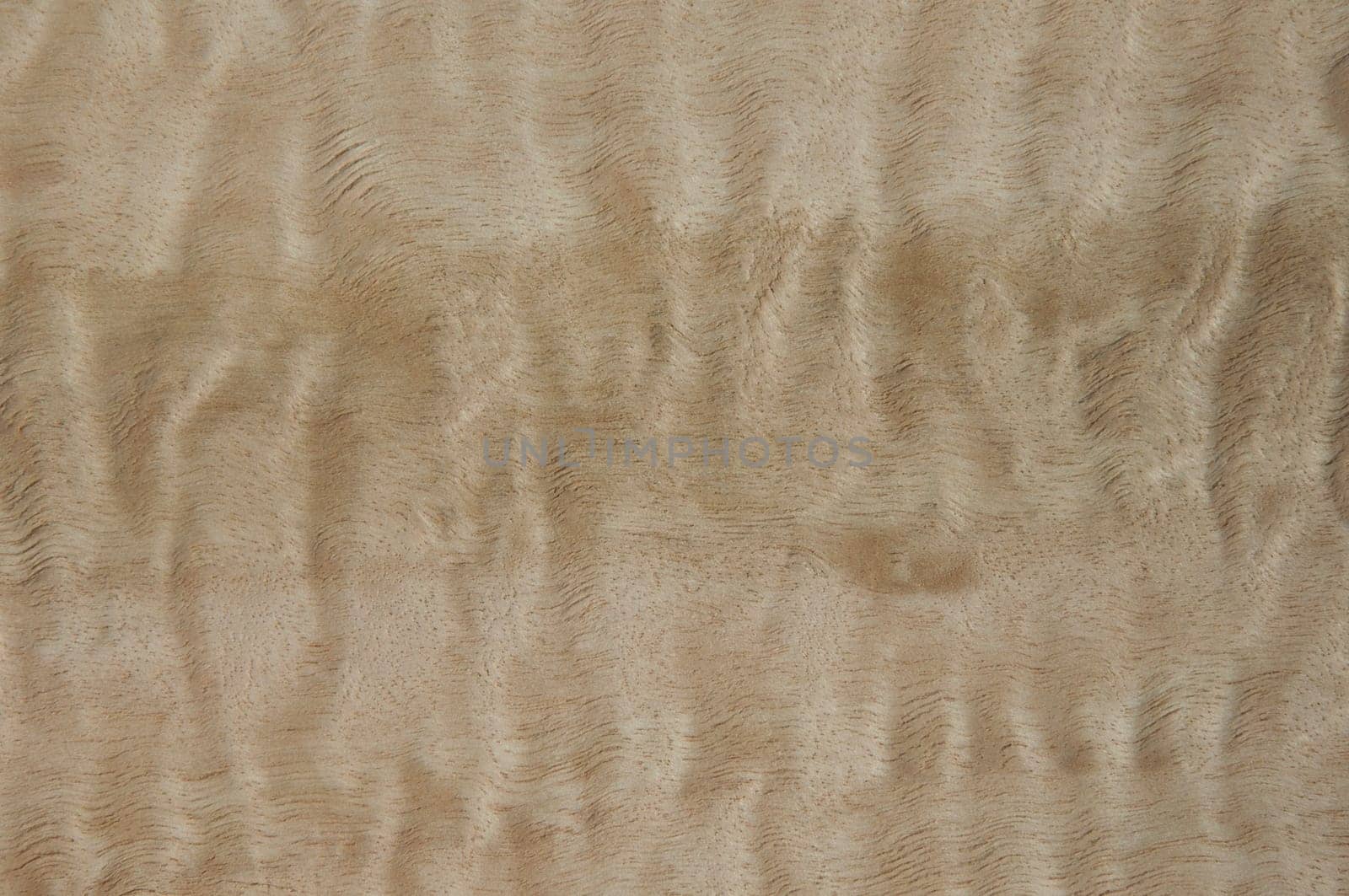 a wood rustic exclusive texture
