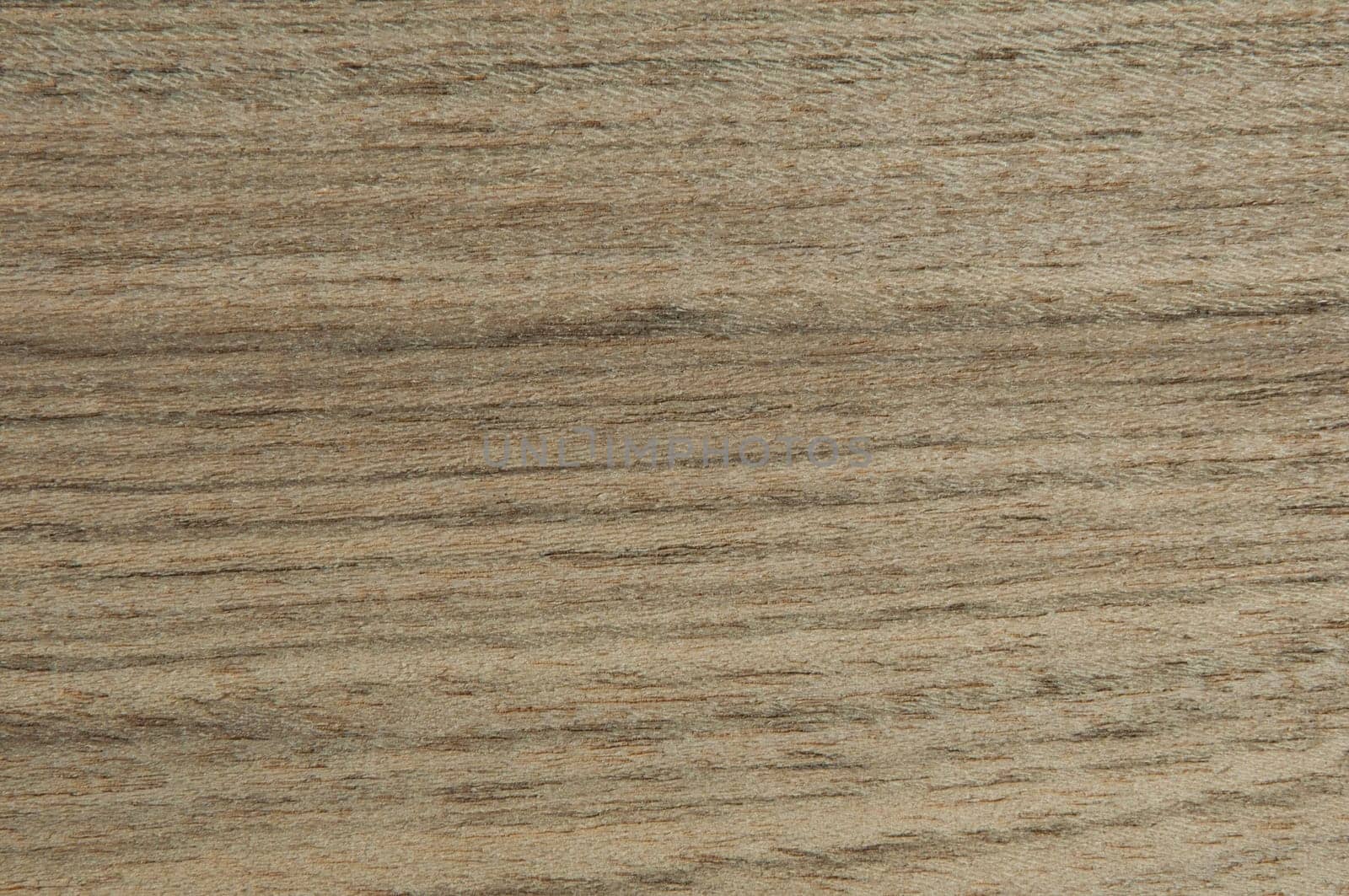 a wood rustic exclusive texture