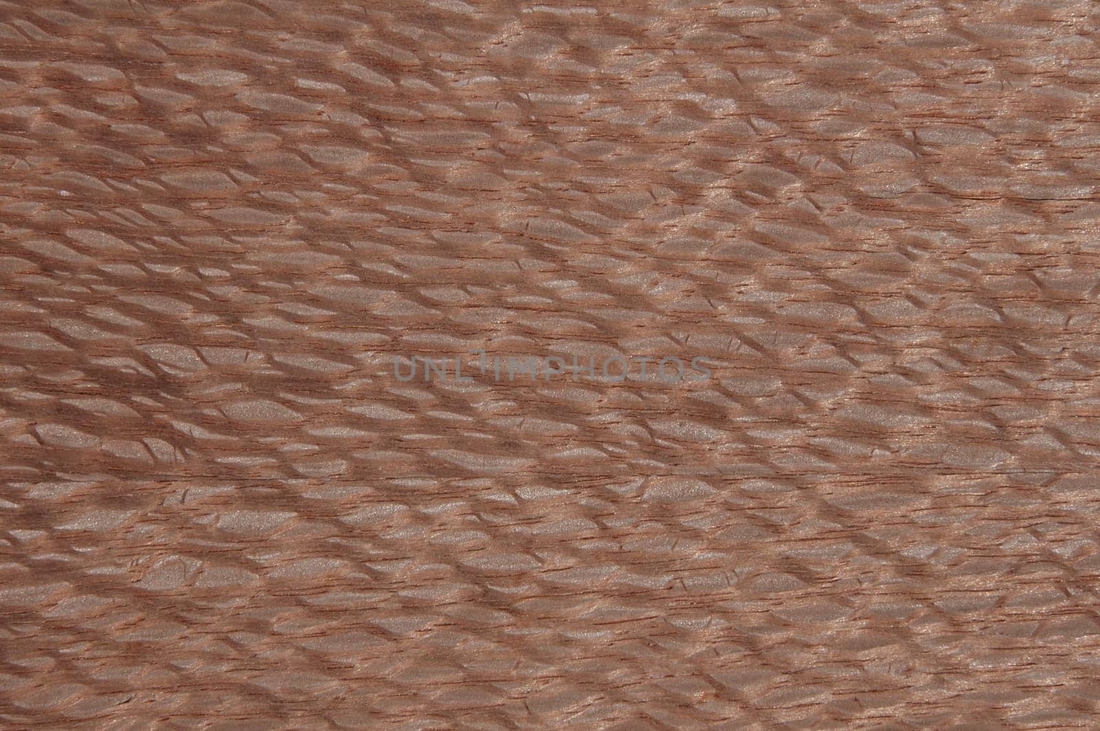 a wood rustic exclusive texture