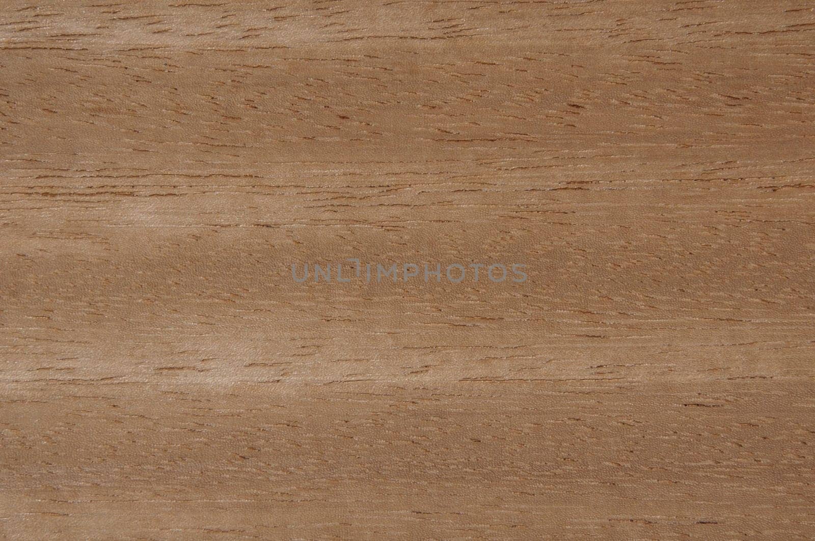 a wood rustic exclusive texture