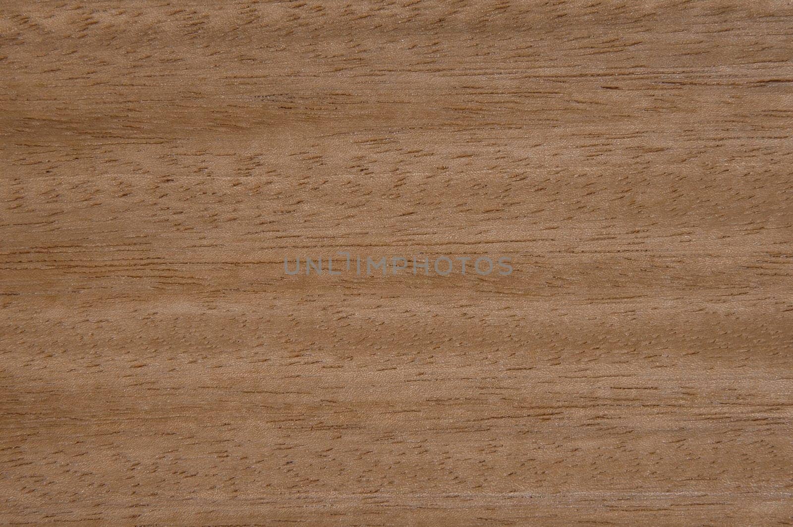 a wood rustic exclusive texture