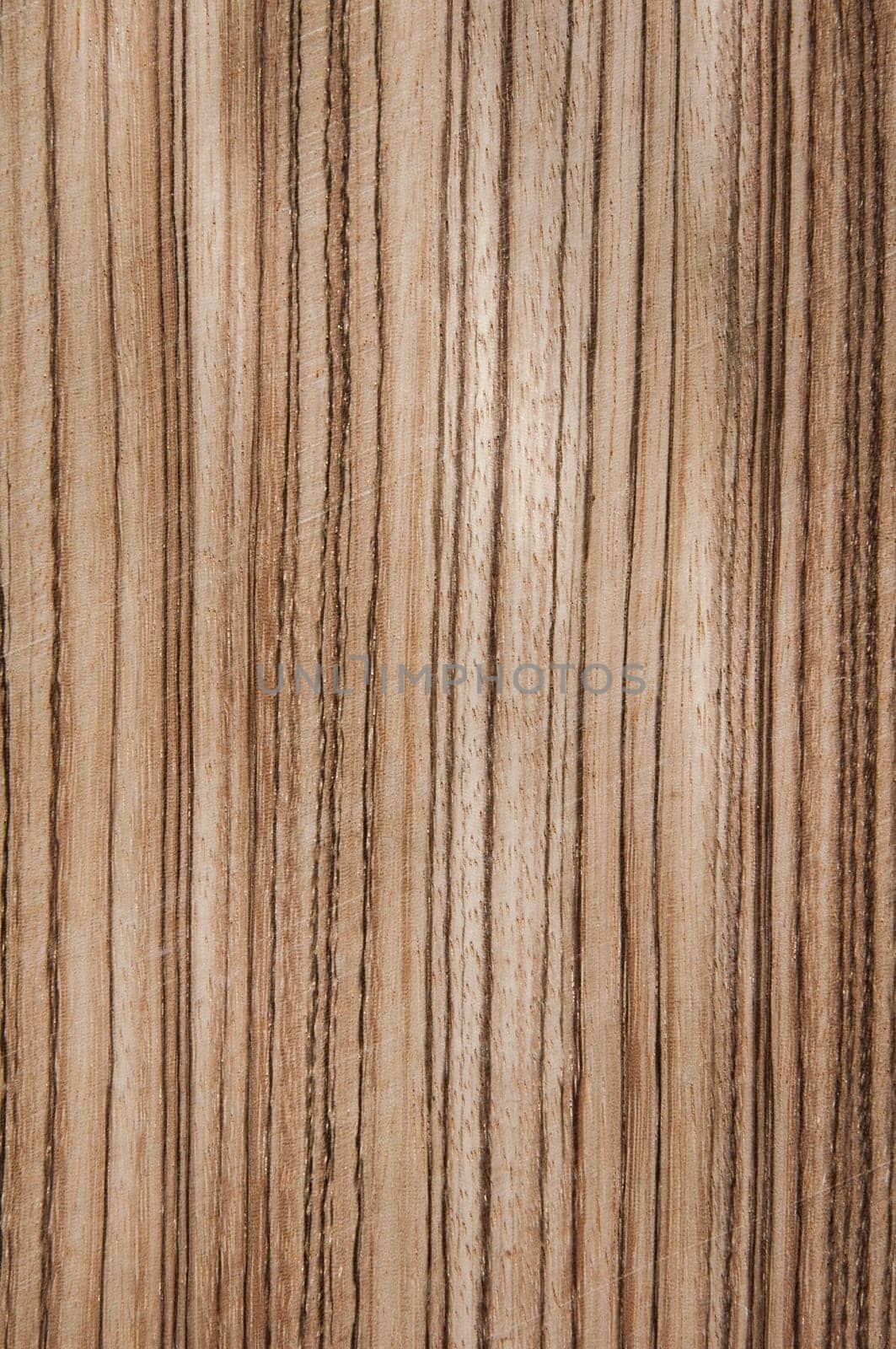 a wood rustic exclusive texture