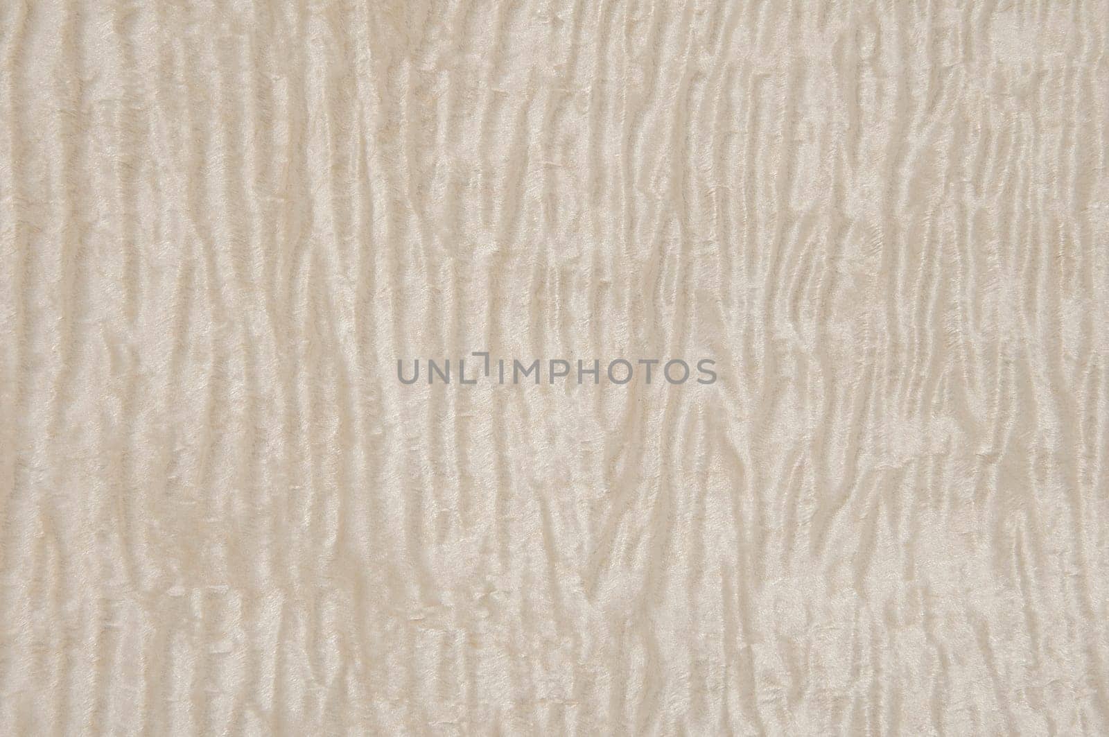 a wood rustic exclusive texture