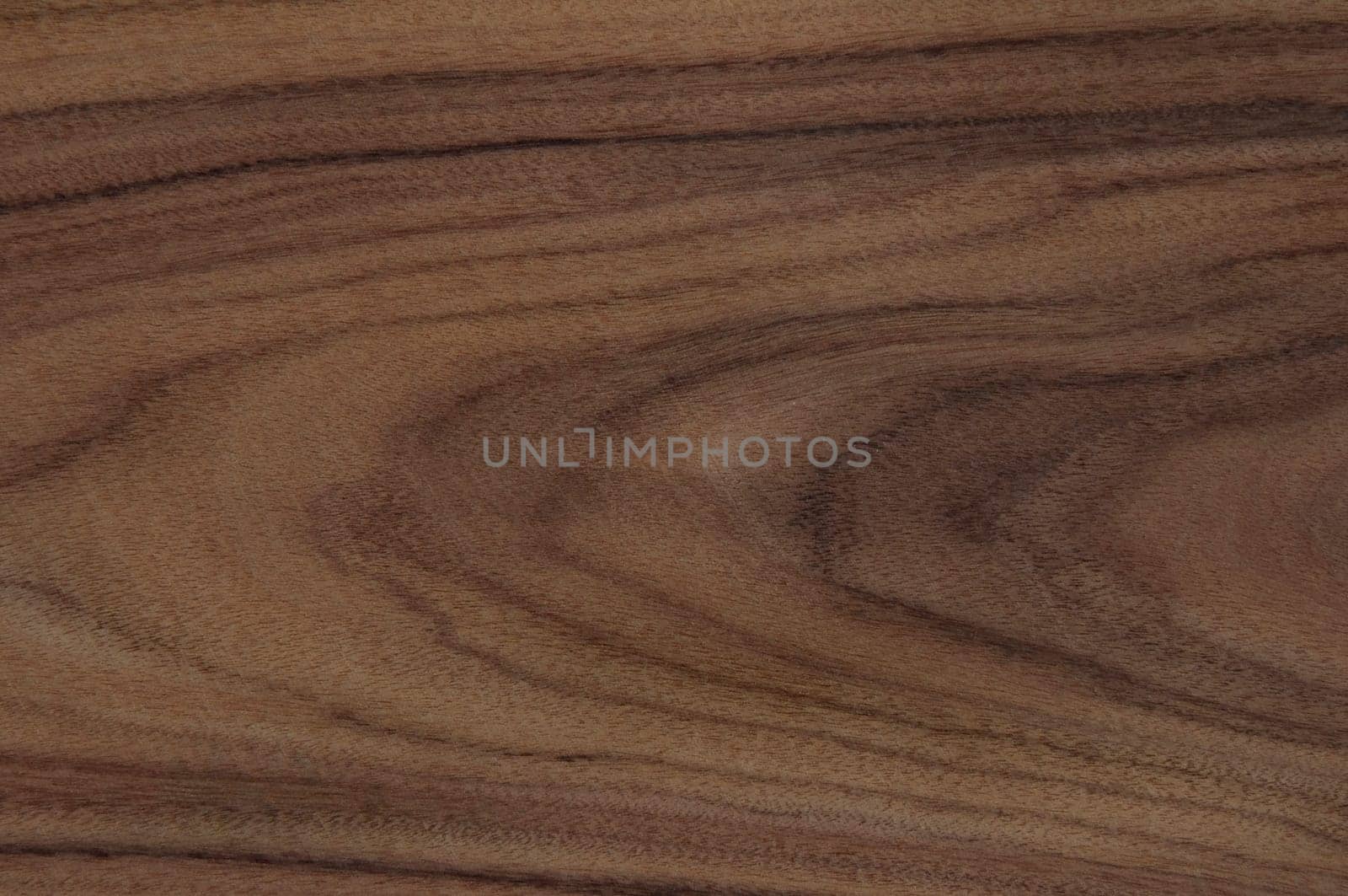 a wood rustic exclusive texture