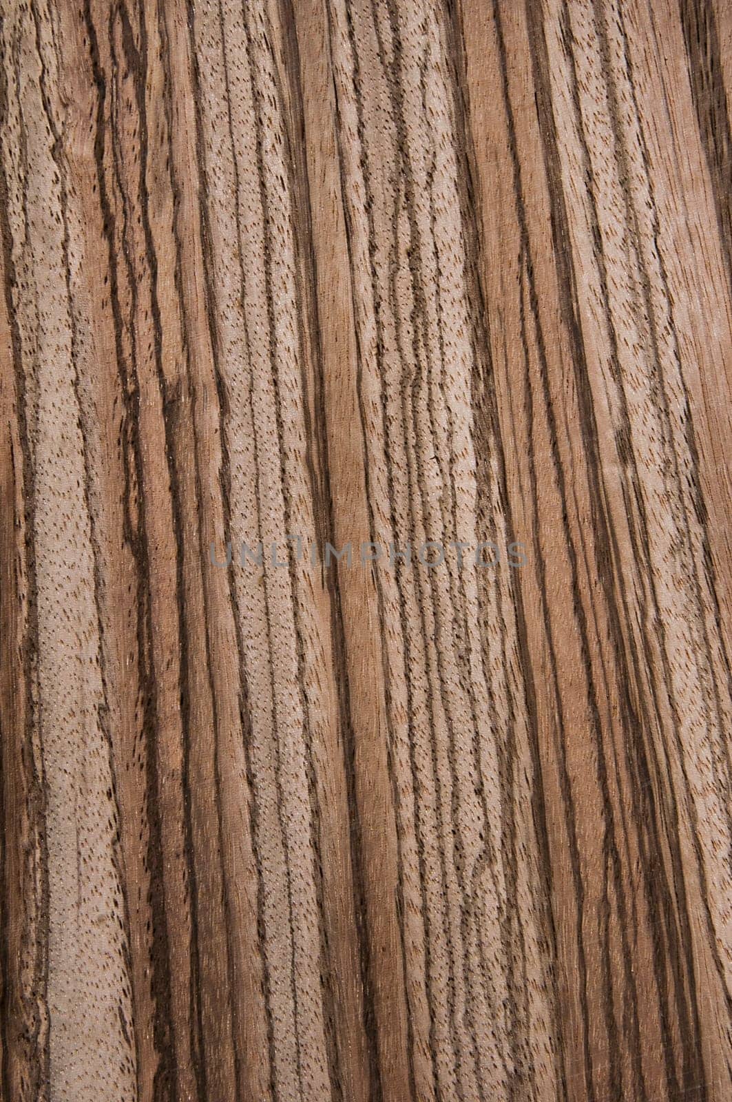 a wood rustic exclusive texture