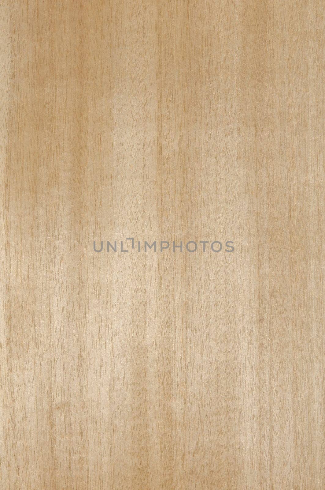 a wood rustic exclusive texture