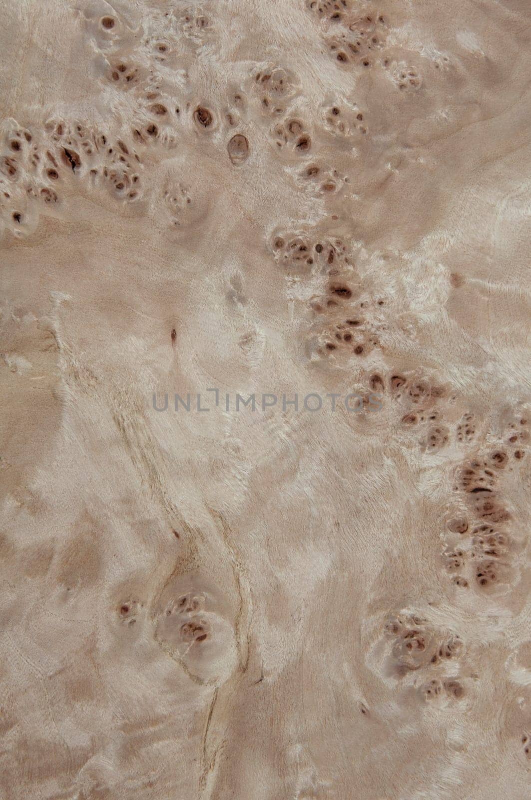 a wood rustic exclusive texture