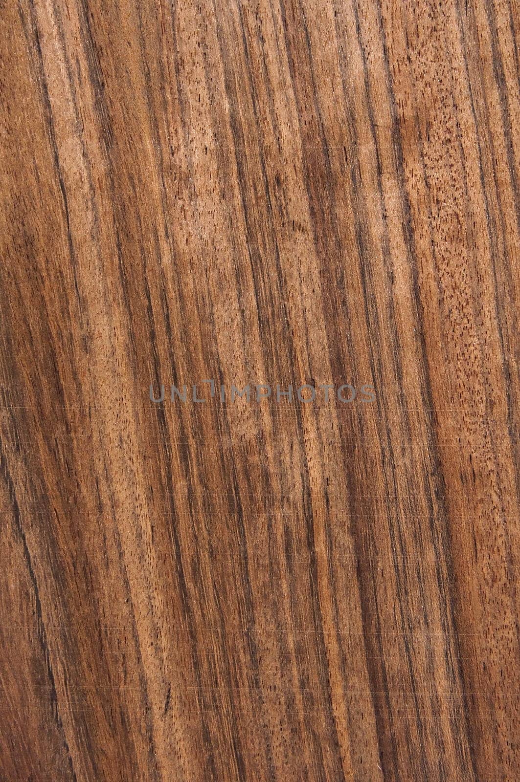 a wood rustic exclusive texture