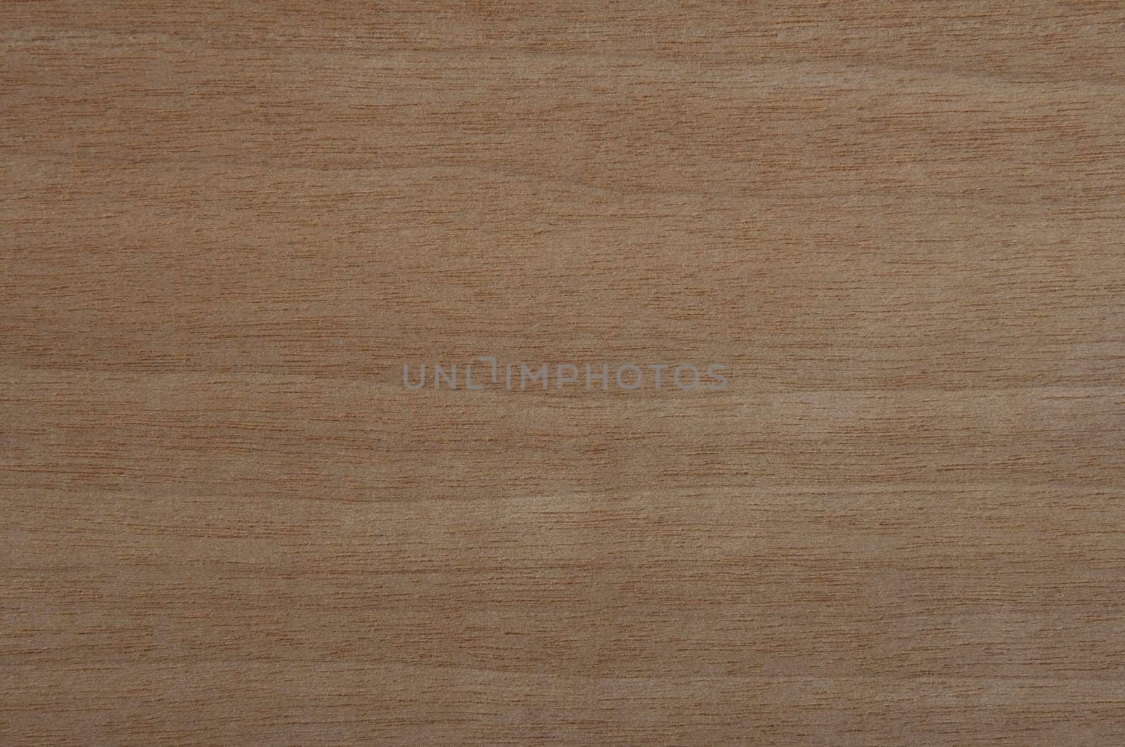 a wood rustic exclusive texture