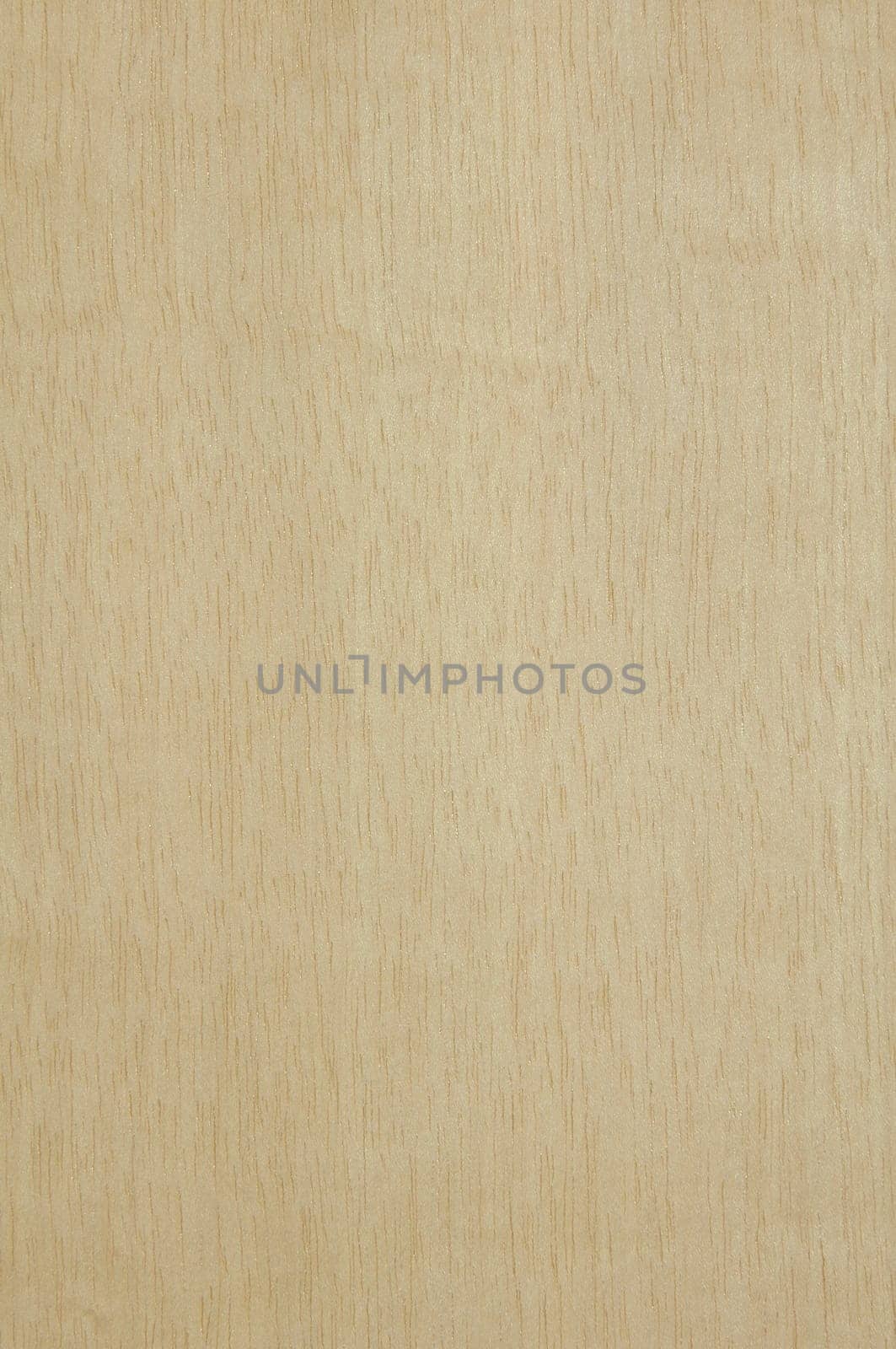 a wood rustic exclusive texture