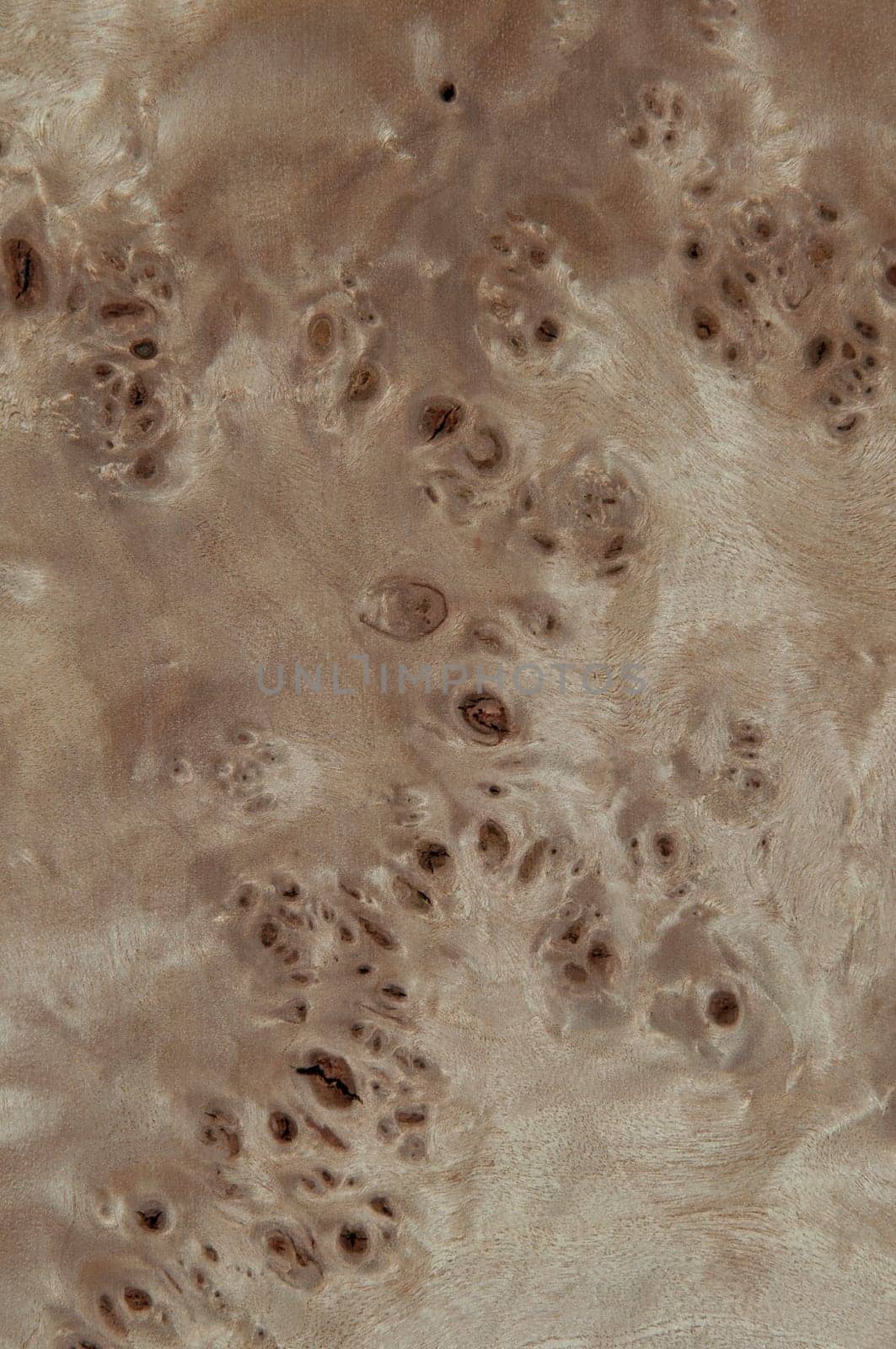 a wood rustic exclusive texture