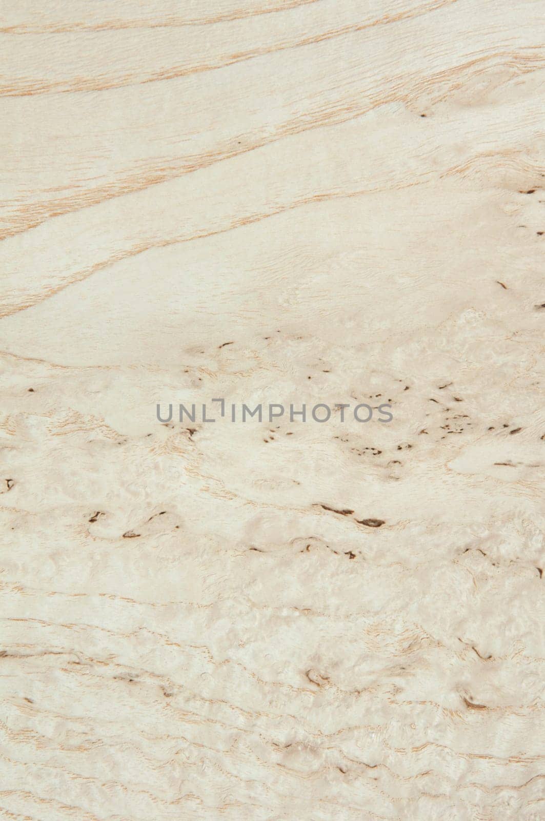 a wood rustic exclusive texture