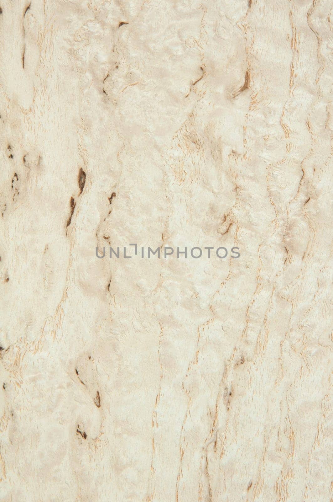 a wood rustic exclusive texture
