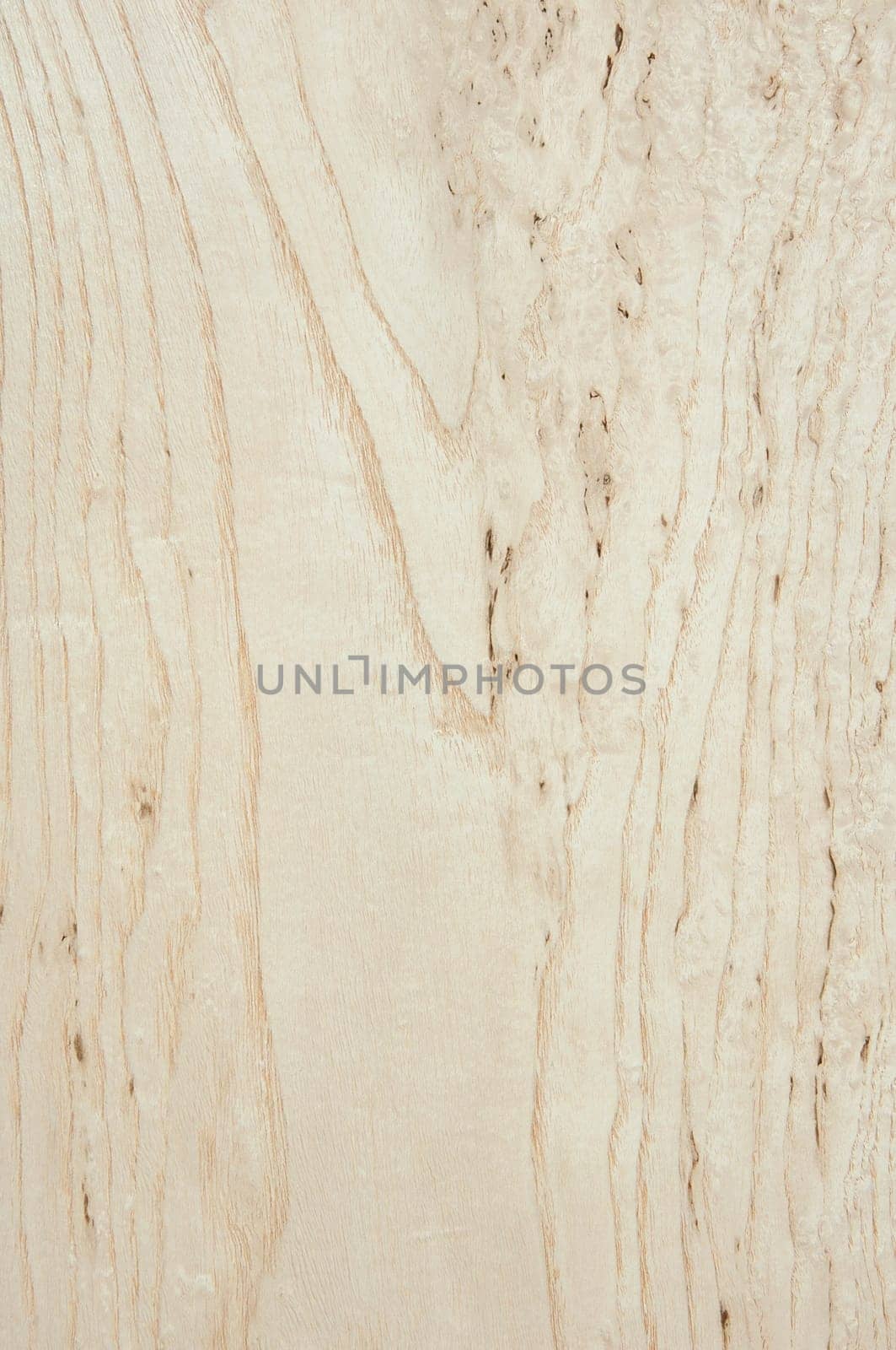 a wood rustic exclusive texture