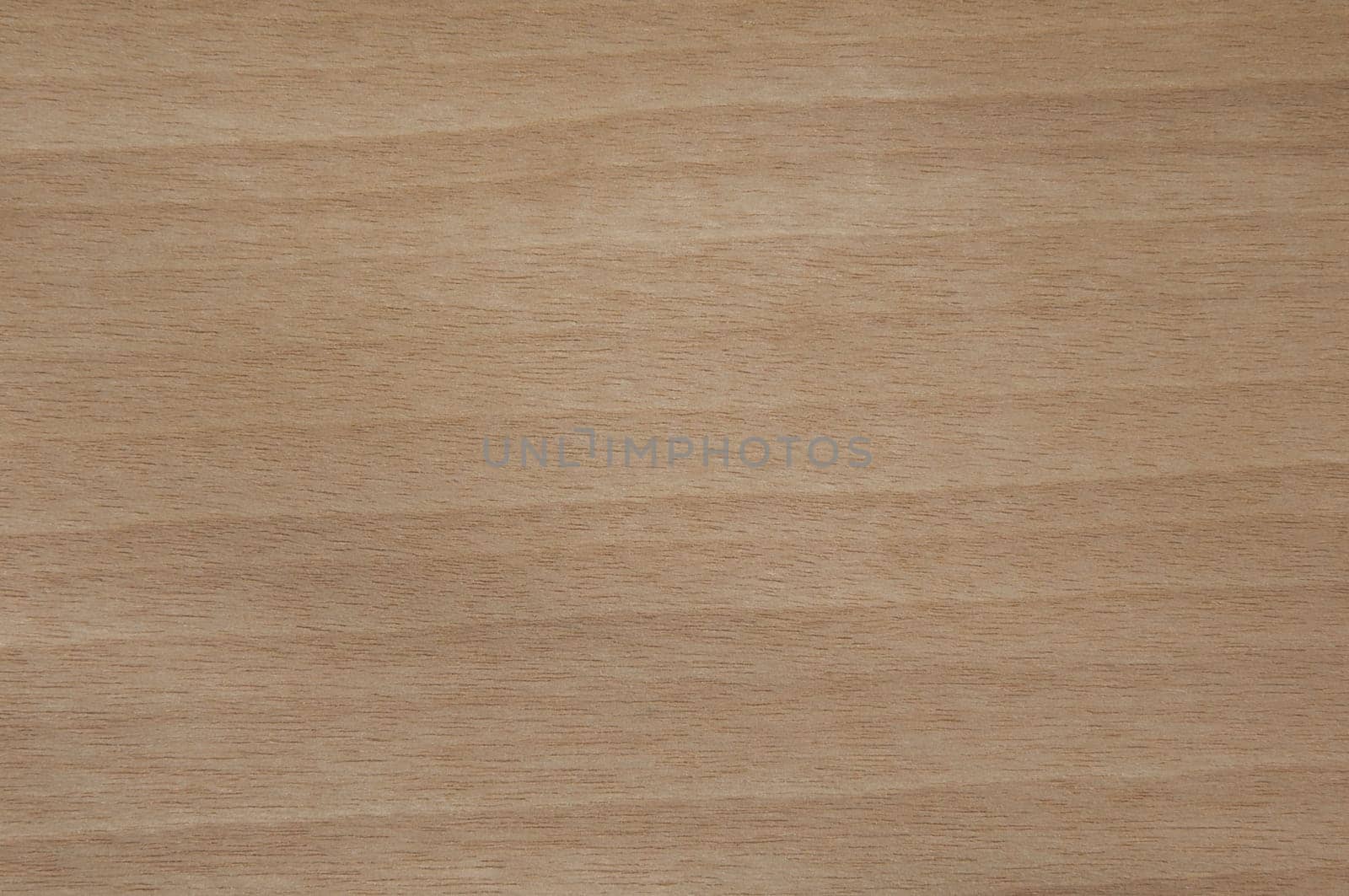 a wood rustic exclusive texture