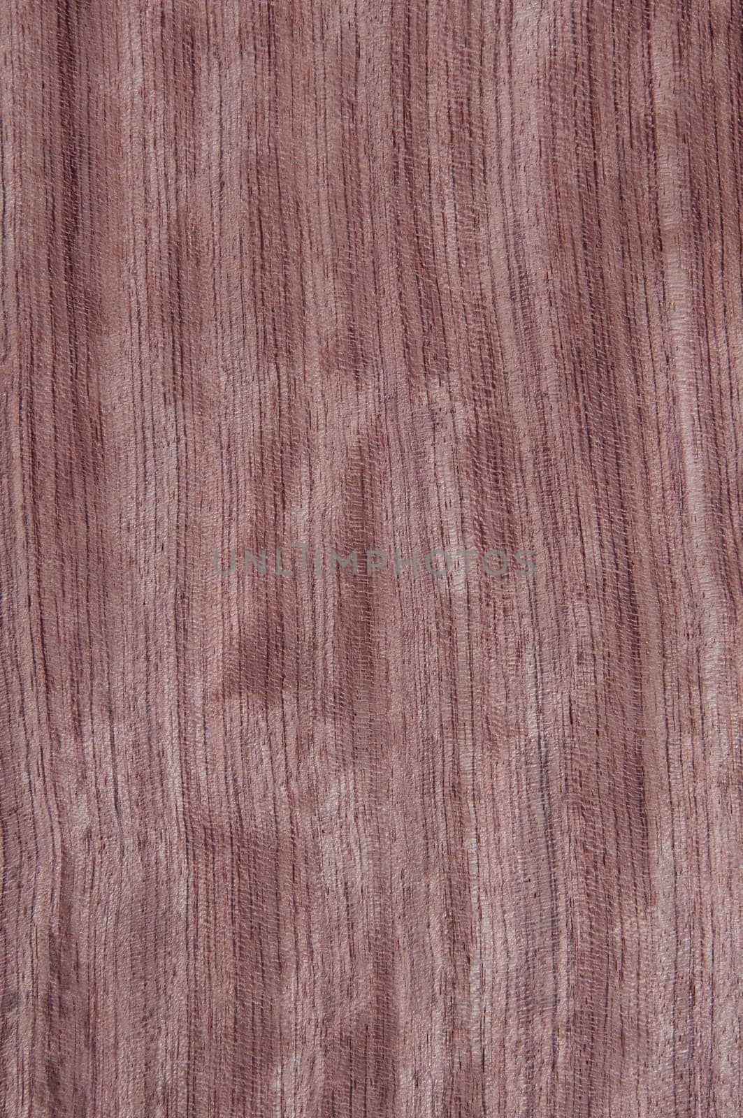 a wood rustic exclusive texture