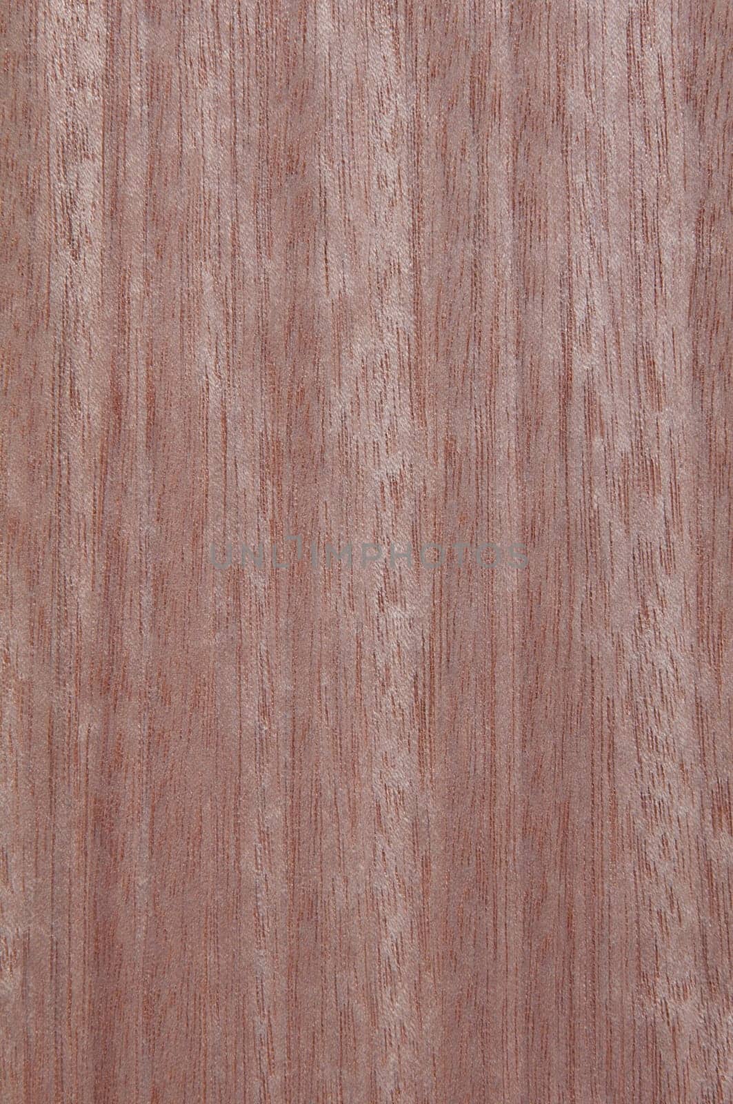 a wood rustic exclusive texture