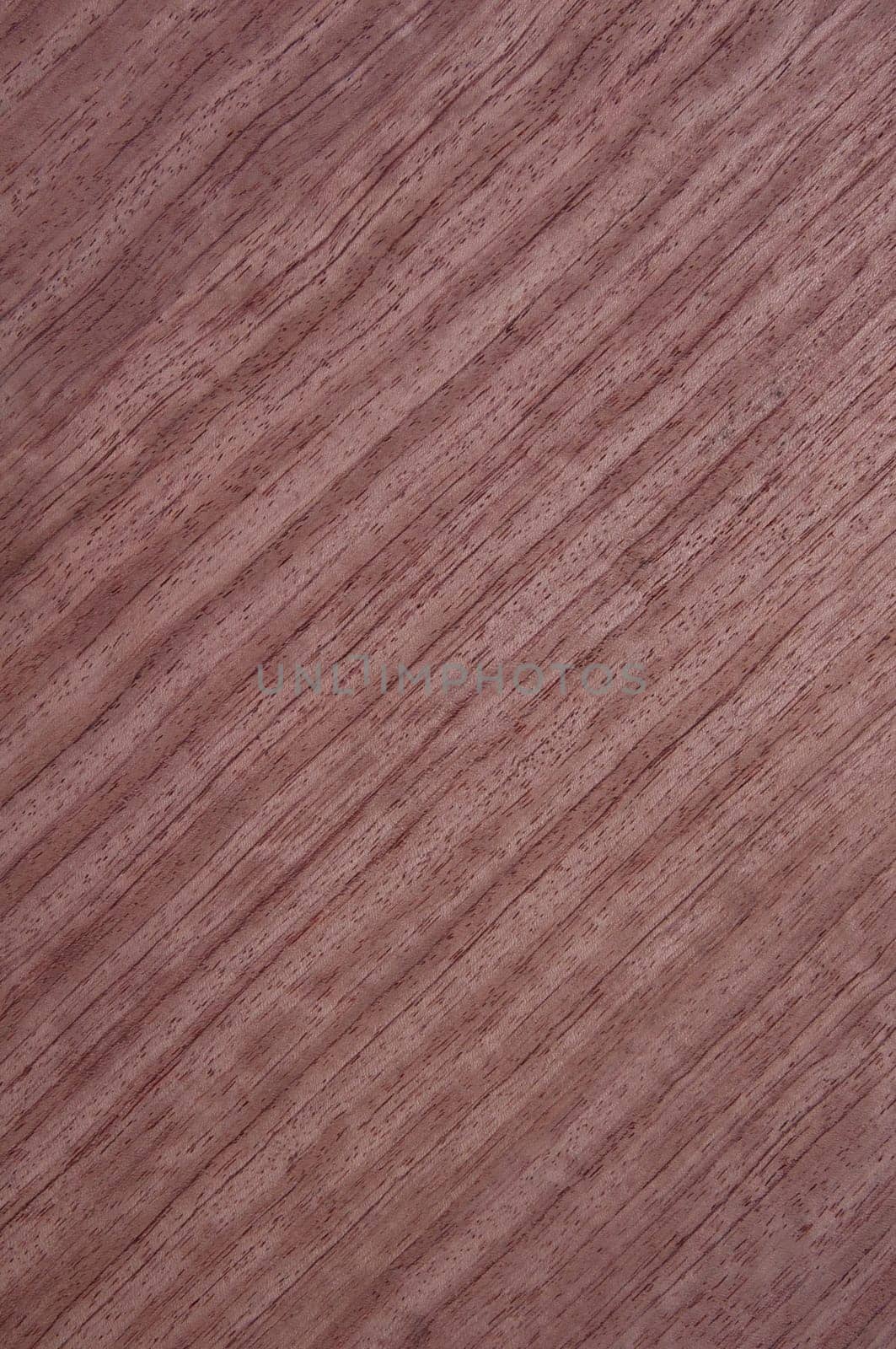 a wood rustic exclusive texture