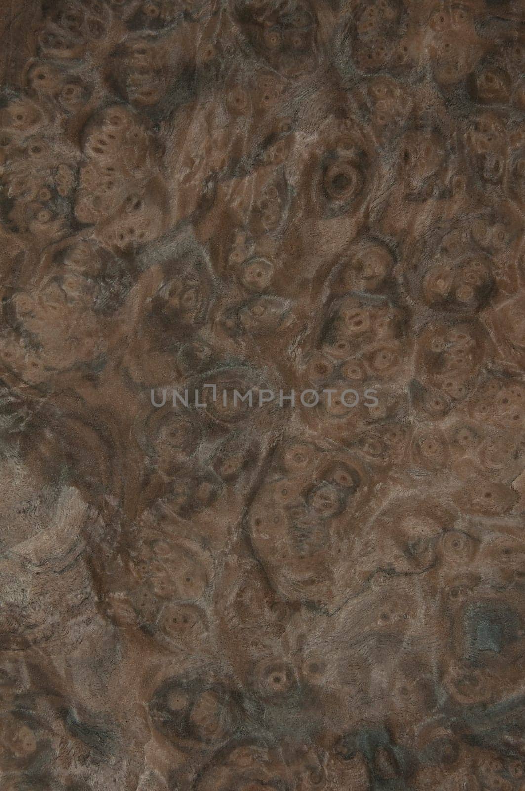 a wood rustic exclusive texture