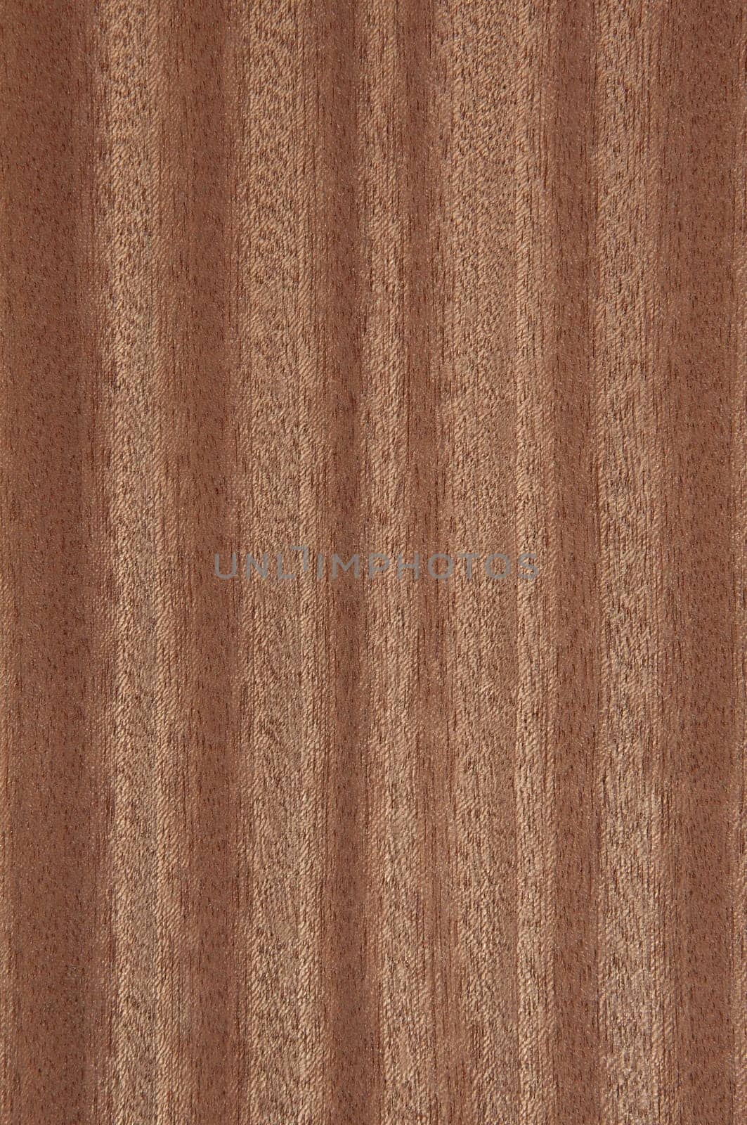 a wood rustic exclusive texture