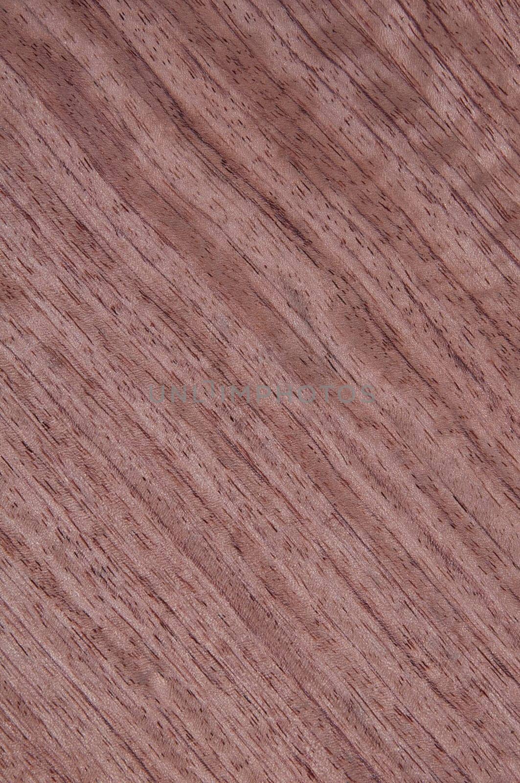 a wood rustic exclusive texture