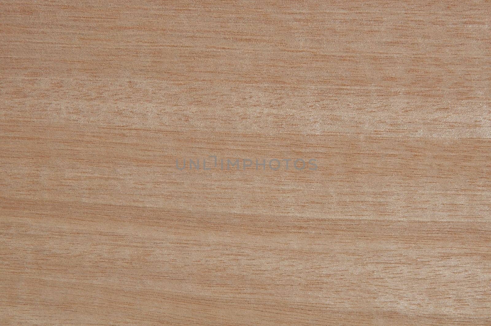 a wood rustic exclusive texture