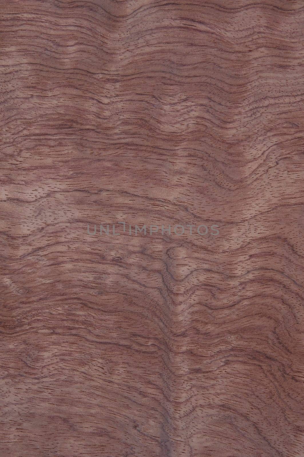 a wood rustic exclusive texture