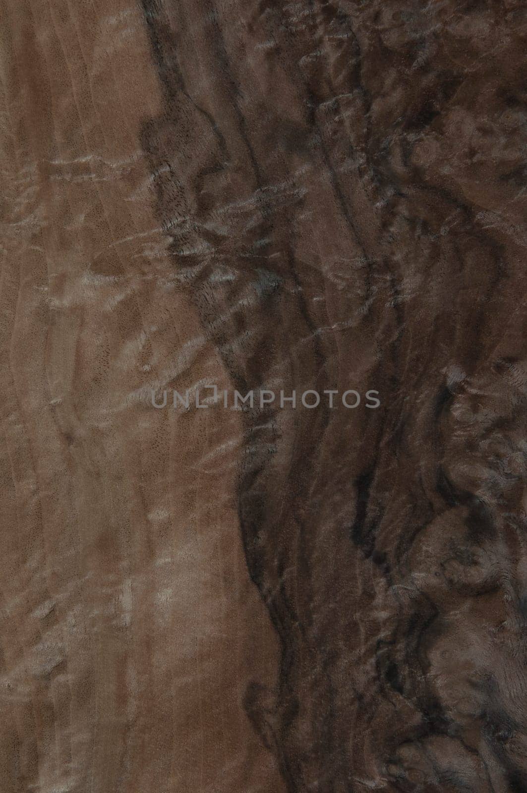 a wood rustic exclusive texture