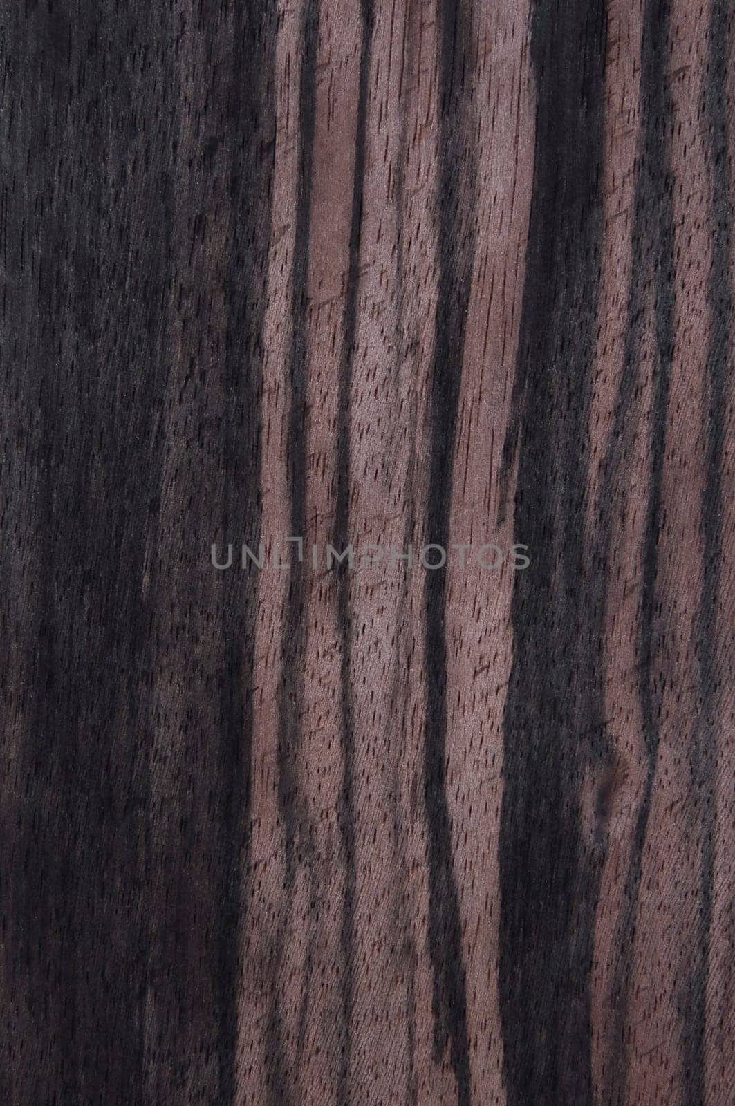 a wood rustic exclusive texture