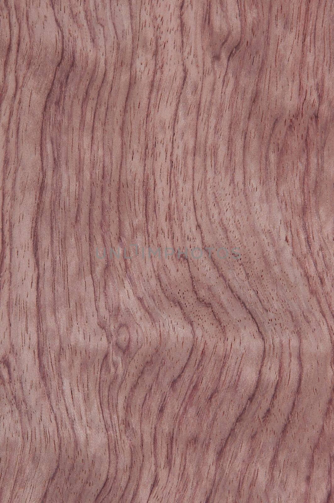 a wood rustic exclusive texture