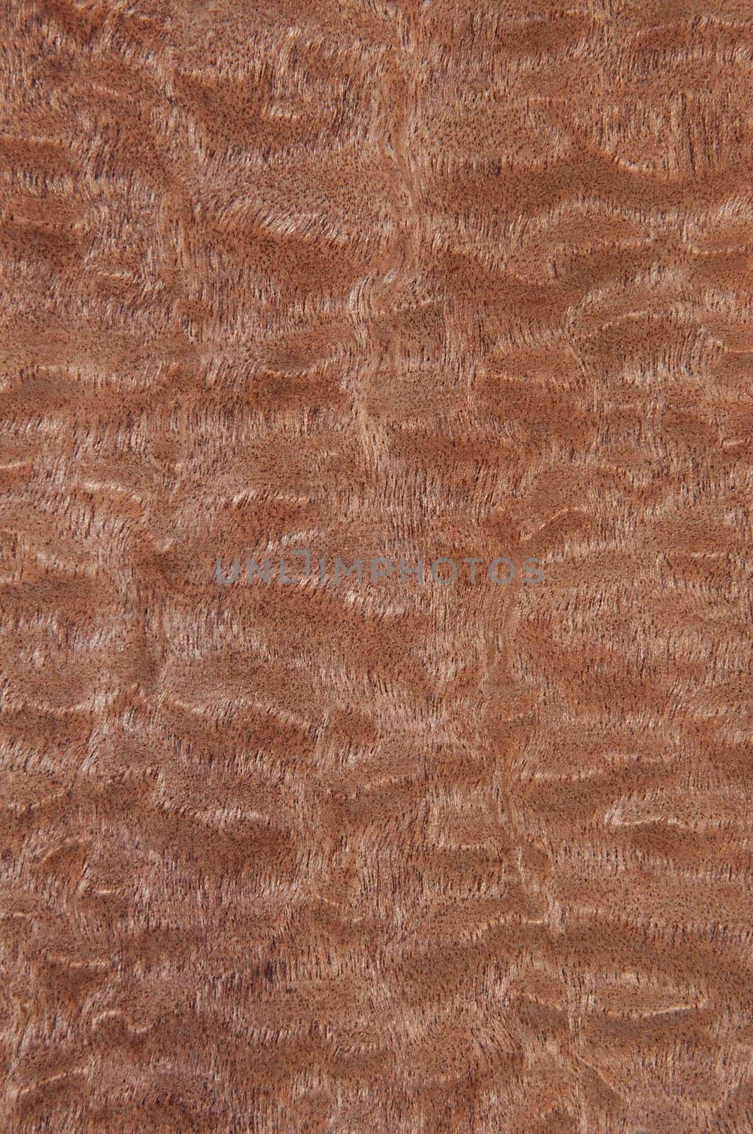 a wood rustic exclusive texture