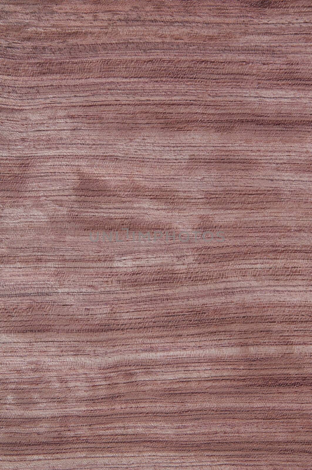 a wood rustic exclusive texture