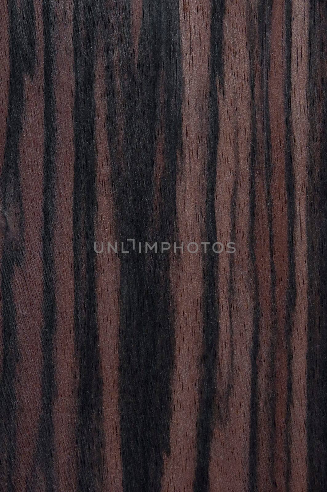 a wood rustic exclusive texture