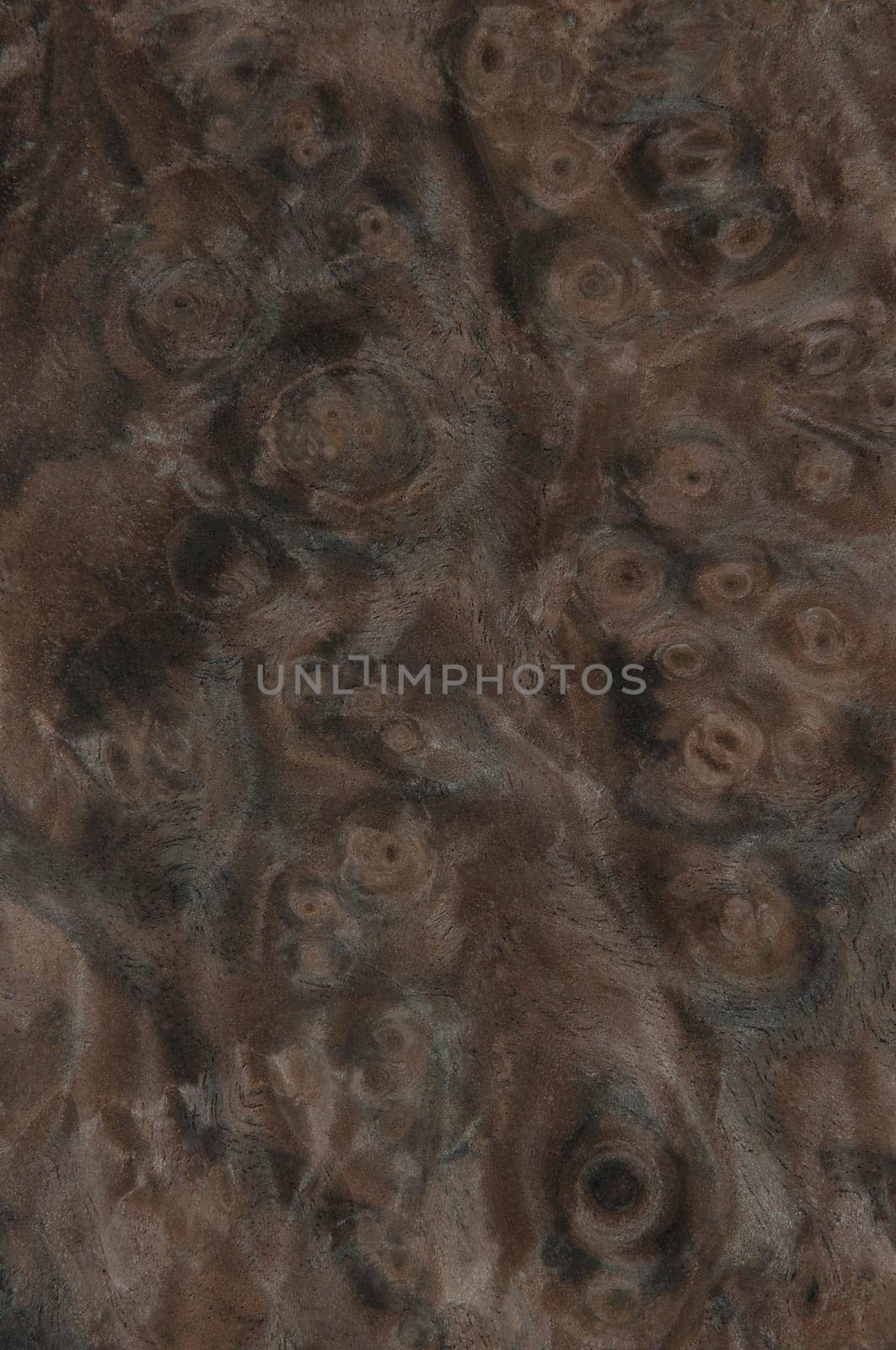 a wood rustic exclusive texture