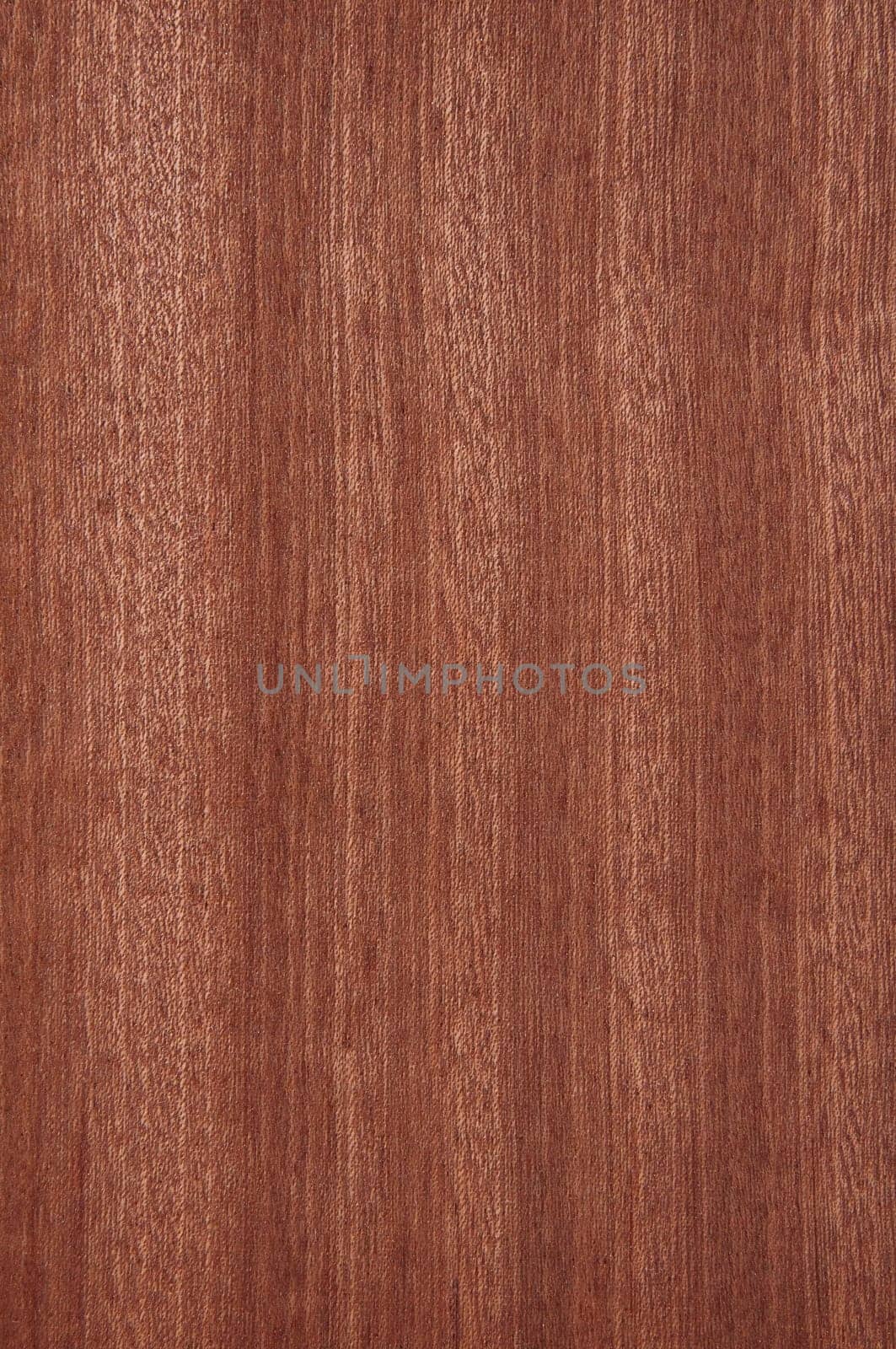 a wood rustic exclusive texture