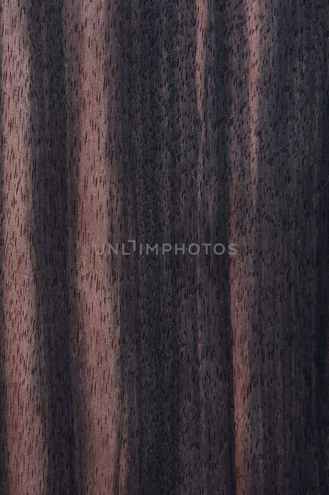 a wood rustic exclusive texture