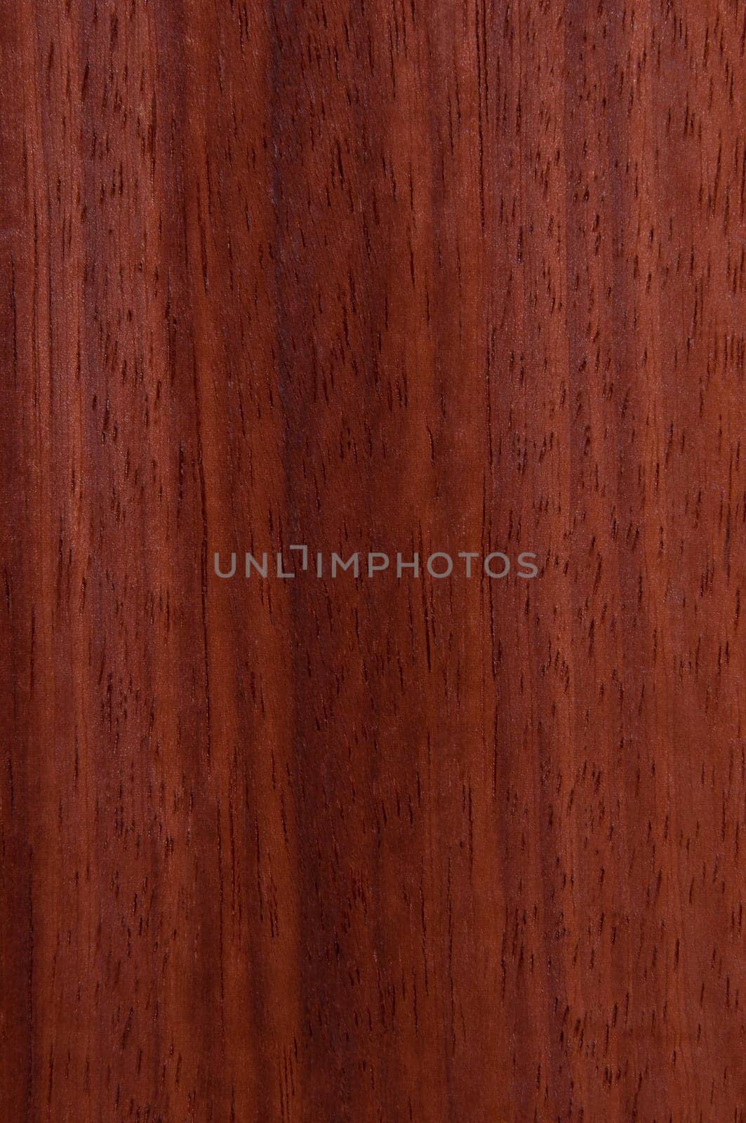a wood rustic exclusive texture