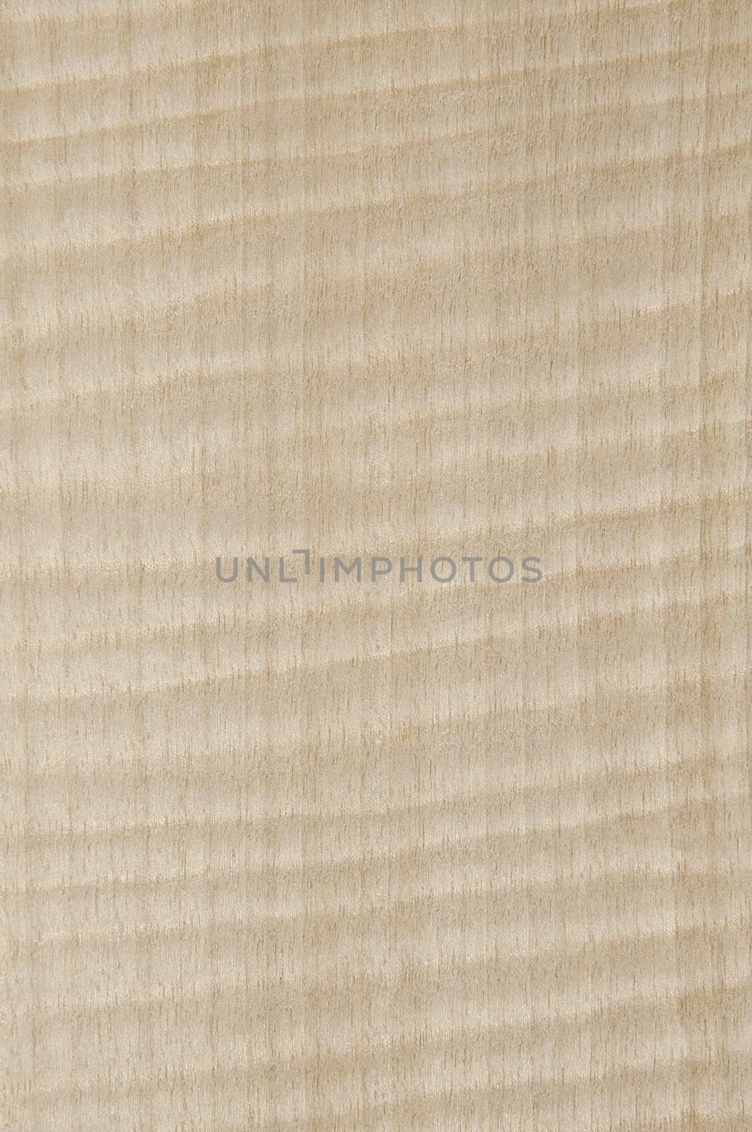 a wood rustic exclusive texture