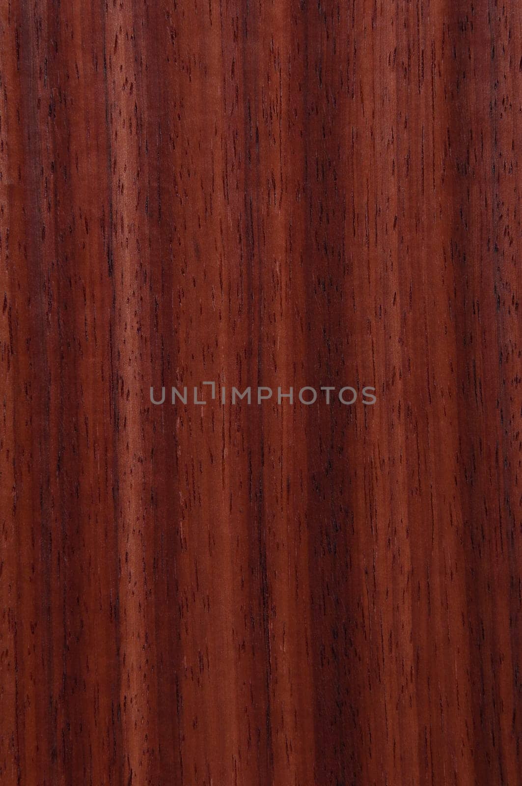 a wood rustic exclusive texture