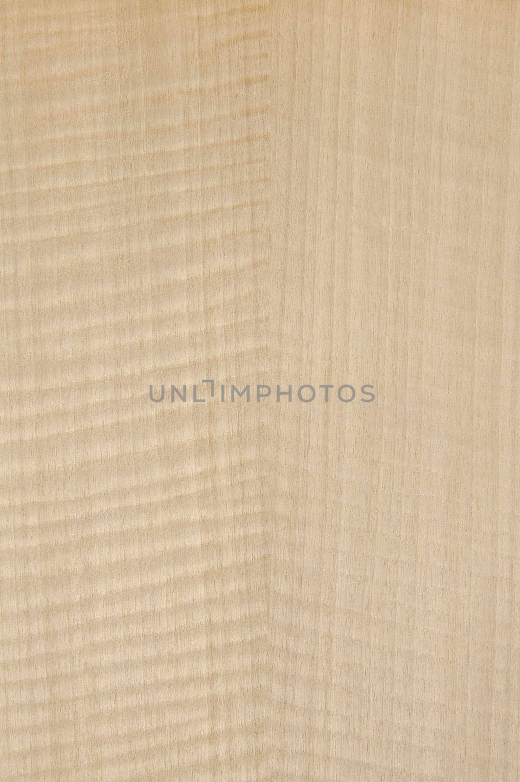 a wood rustic exclusive texture